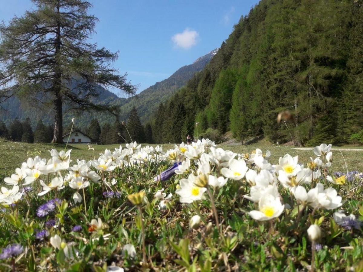 Apartmán Haus Isartal Mittenwald Exteriér fotografie
